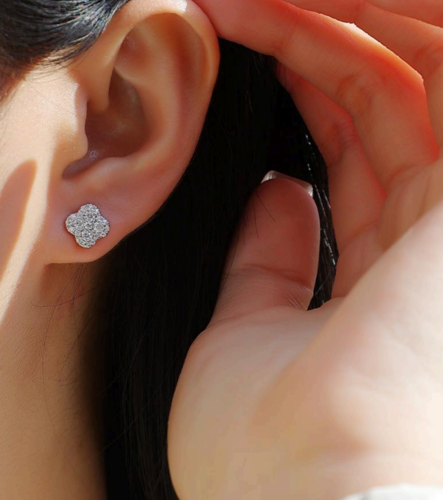 Aretes flor winter S925
