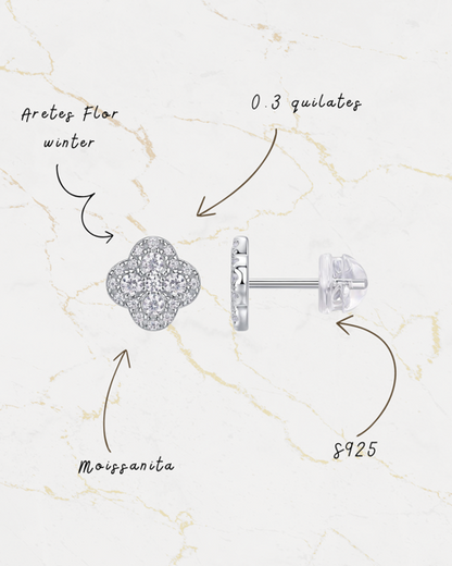 Aretes flor winter S925