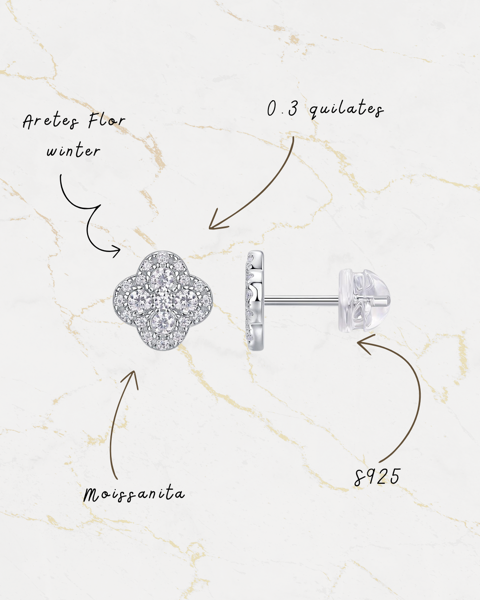 Aretes flor winter S925